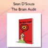The Brain Audit – Sean DSouza