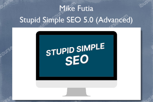 Stupid Simple SEO 5.0 Advanced