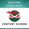Content Shinobi